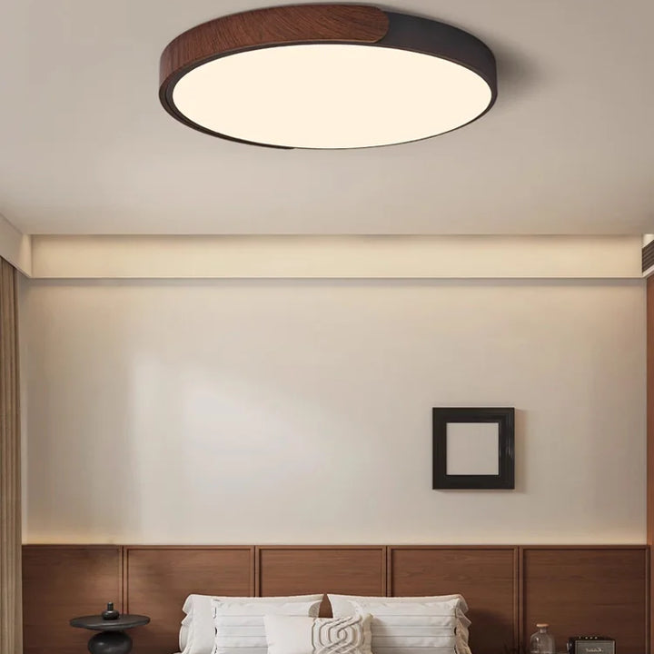 Modern LED Ceiling Lights Home Decoration for Living Room Bedroom Children's Study Room Indoor Chandelier Fixture Lamps