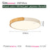 Modern LED Ceiling Lights Home Decoration for Living Room Bedroom Children's Study Room Indoor Chandelier Fixture Lamps