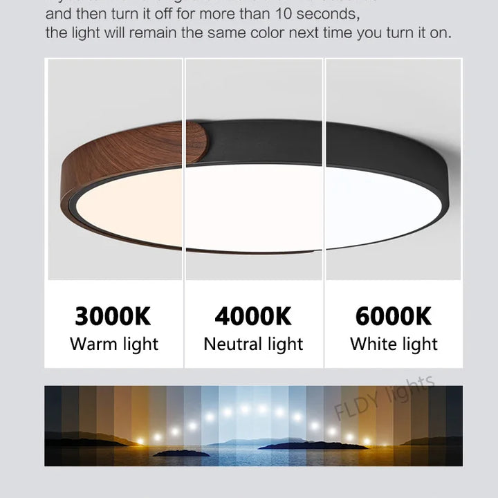 Modern LED Ceiling Lights Home Decoration for Living Room Bedroom Children's Study Room Indoor Chandelier Fixture Lamps