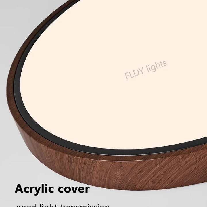 Modern LED Ceiling Lights Home Decoration for Living Room Bedroom Children's Study Room Indoor Chandelier Fixture Lamps